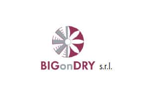 Logo BIGONDRY