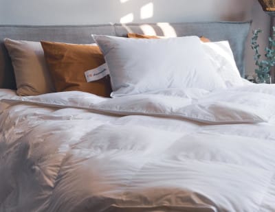 I piumoni e i cuscini Dreamsville, con isolamento PrimaLoft Bio