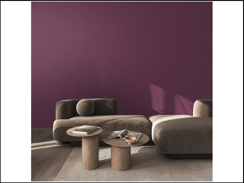Il colore 2025 di Sigma Coatings