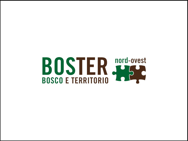 Il legno locale come risorsa territoriale